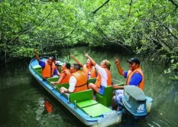 hutan-m-qbpgeah32sdi4cv4gf2cou0lfckeoenp9b0tzo8i14